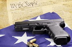 Gun