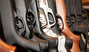 New York Extreme Risk Protection Order (ERPO)